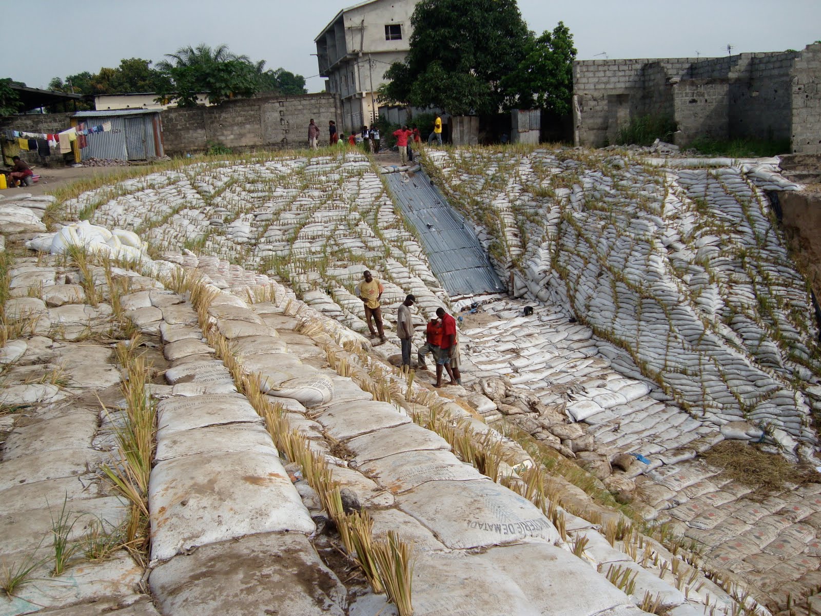 Bags and vetiver are used for erosion control.