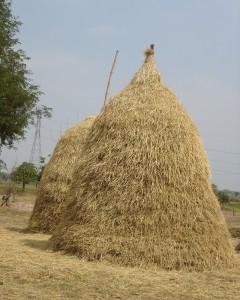 Traditional haystack