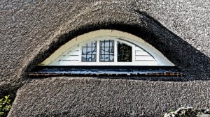 Eyebrow window on thatch roof (click to enlarge)