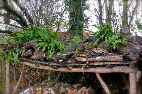 Living roof with wildlife habitat