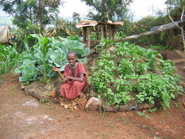 Keyhole vegetable garden in Rwanda