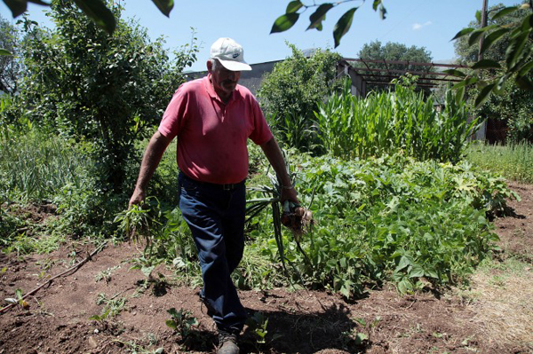 Ilias Mathes works at his garden in the village of Karitaina about 210km (131 miles) southwest of Athens.
