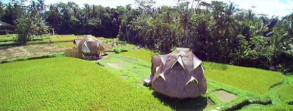 NewEarth Haven Bio Architecture domes in Bali