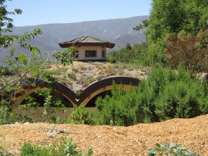 Community house made of natural building materials and living roof