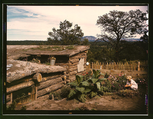 Remote dugout homestead near Pie Town, New Mexico