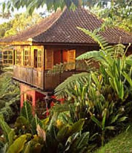 Sarinbuana Eco Lodge in Bali is a haven for nature lovers