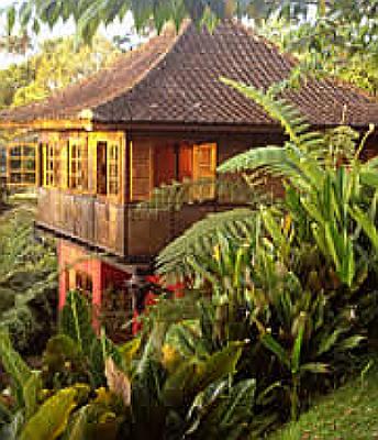 Sarinbuana Eco Lodge in Bali is a haven for nature lovers