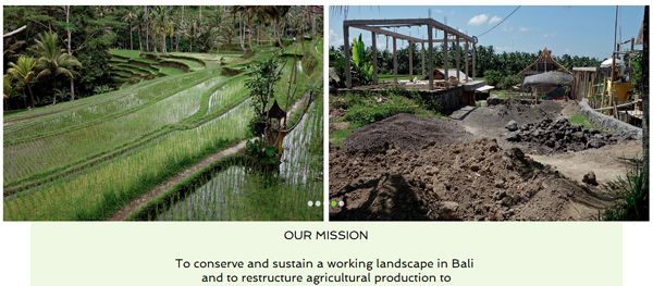 Sawah Bali -- farming and economic development program in Bali