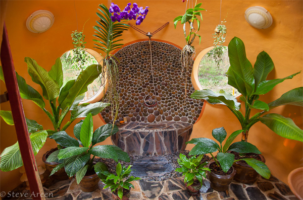 Steve’s jungle bath: just one of many outstanding features in this innovative home.