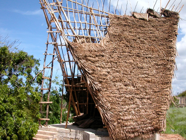 Takaungu Robinson House has a free-spanning lattice-shell structure made with locally available resources