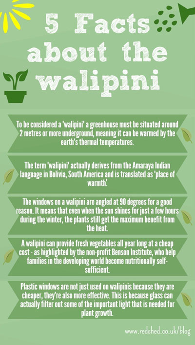 Walipini Infographic