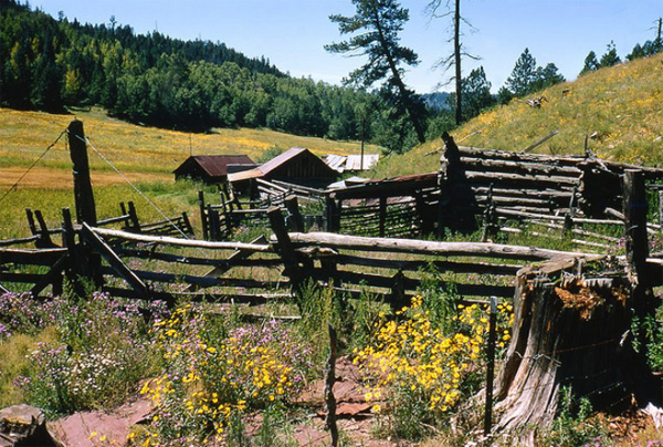 Out of the way, abandoned homesteads in remote areas may be available at very low cost.