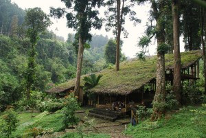 Bamboo building by Reza Satya