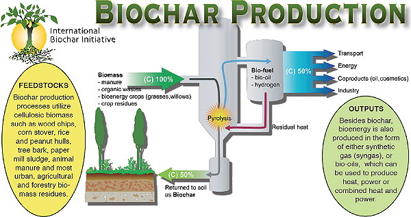 Fuel and biochar in one step: Biochar production chart shows how low value biomass is efficiently turned into biochar and syngas through a carbon negative process.