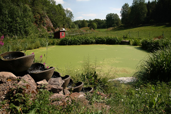 A hybrid system using Flowforms in a treatment pond, in Norway.