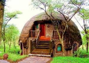 Cool thatch dome