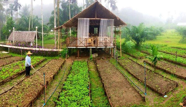 Some farm stays are very low cost and more rustic.