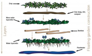 Practical Action.org trains families how to make floating gardens in Bangladesh made of water hyacinths, bamboo, cow dung, soil and compost.