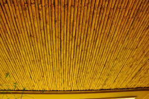 Golden or yellow bamboo in the round makes a very attractive ceiling.