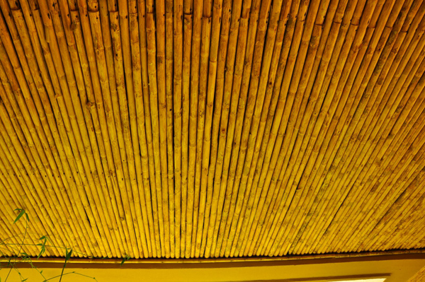Golden or yellow bamboo in the round makes a very attractive ceiling.