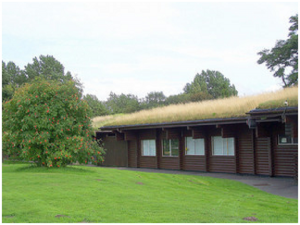 Green Roofs can Enhance the Greenery of your House