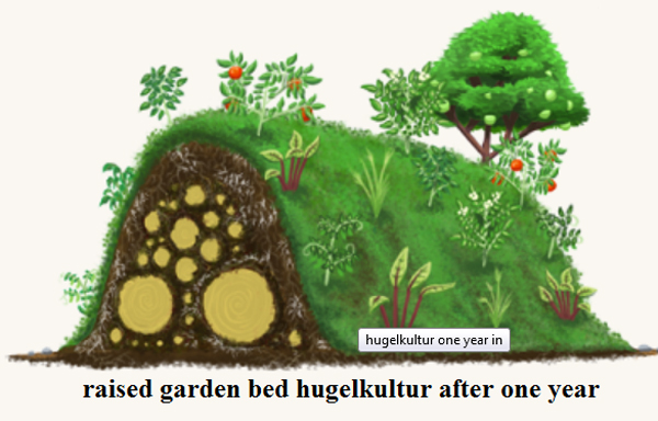 Hugelkultur raised garden beds are mounds of rotting wood covered in soil