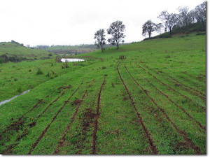 Keyline cultivation can rapidly build soil on degraded land