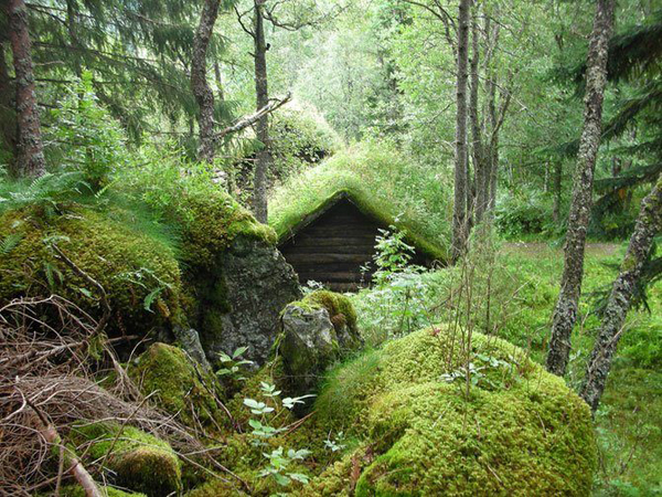 Living roofs/green roofs in Norway