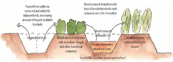 This ingenious system rapidly converts wood chips into large quantities of fertile topsoil filled with earthworms and beneficial fungi and microorganisms.