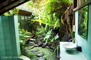 Open concept bathroom with privacy wall