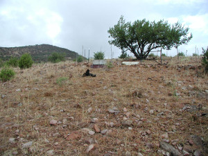 Dry pinyon-juniper ranch land like this is a perfect candidate for land restoration projects as we explain in this blog post.