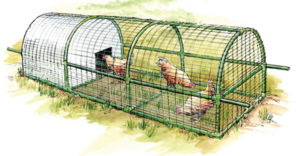 Predator-proof, portable chicken tractor by Mother Earth News Magazine