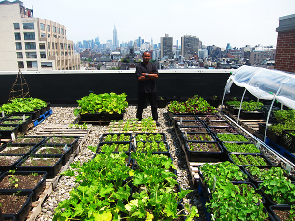 Rooftop gardens make sense for many reasons