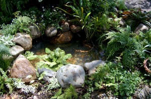 Small ponds and other water features for any budget (this one was made with a plastic watering trough)