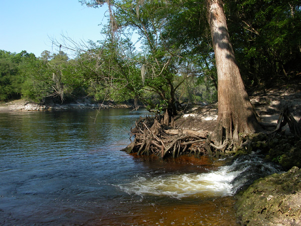 You can camp in nearby Suwannee state park