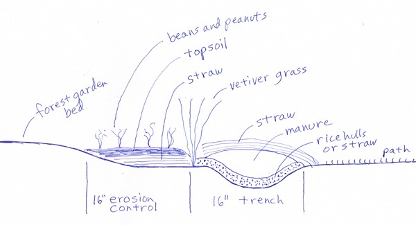 This drawing shows the main parts of the bean/compost borders we’re using around our forest garden beds.