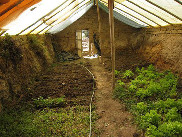 Learn how to build a walipini greenhouse like this one