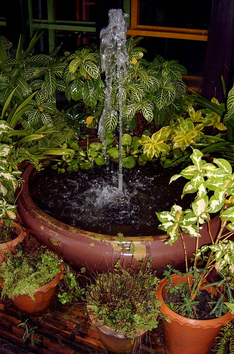 Nice water feature