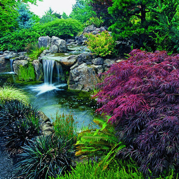 You could build a small waterfall or other water feature in your backyard oasis.
