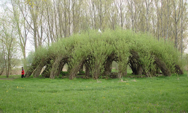 Auerworld Willow Palace by <a href="http://www.sanftestrukturen.de/"><strong>Sanfte Strukturen</strong></a> is a natural structure made of living willow rooted in the ground.